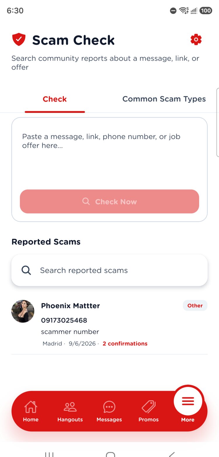 Scam Check screen for verifying suspicious messages